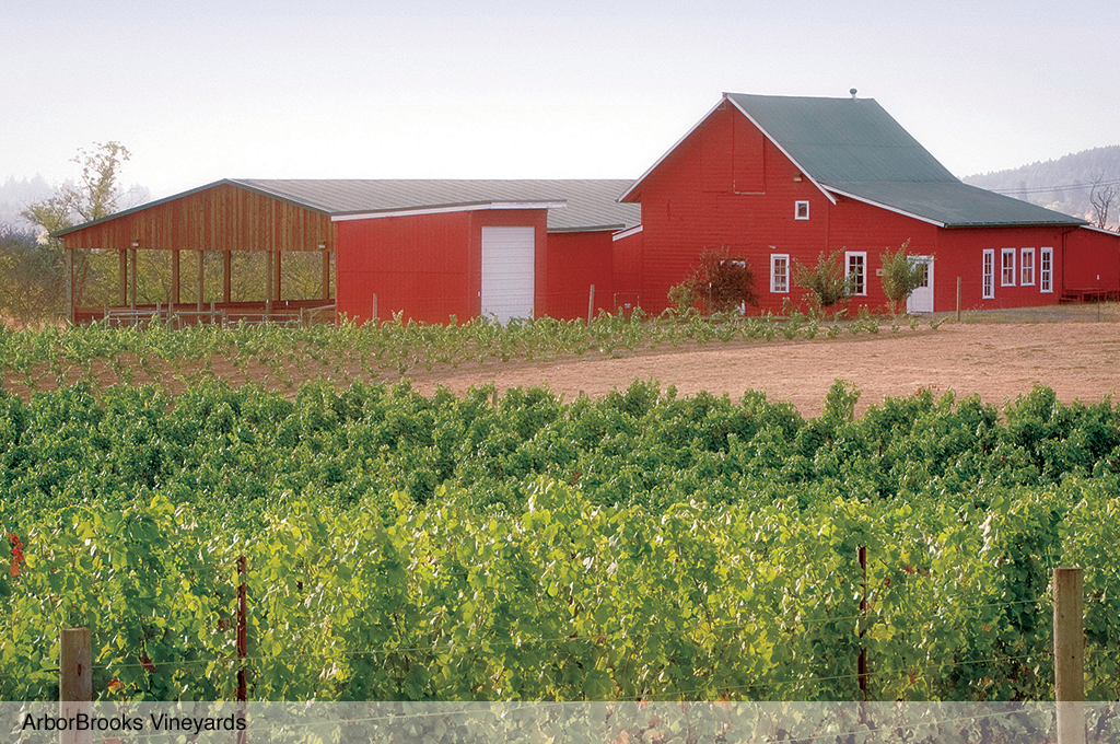 ArborBrooks Vineyard