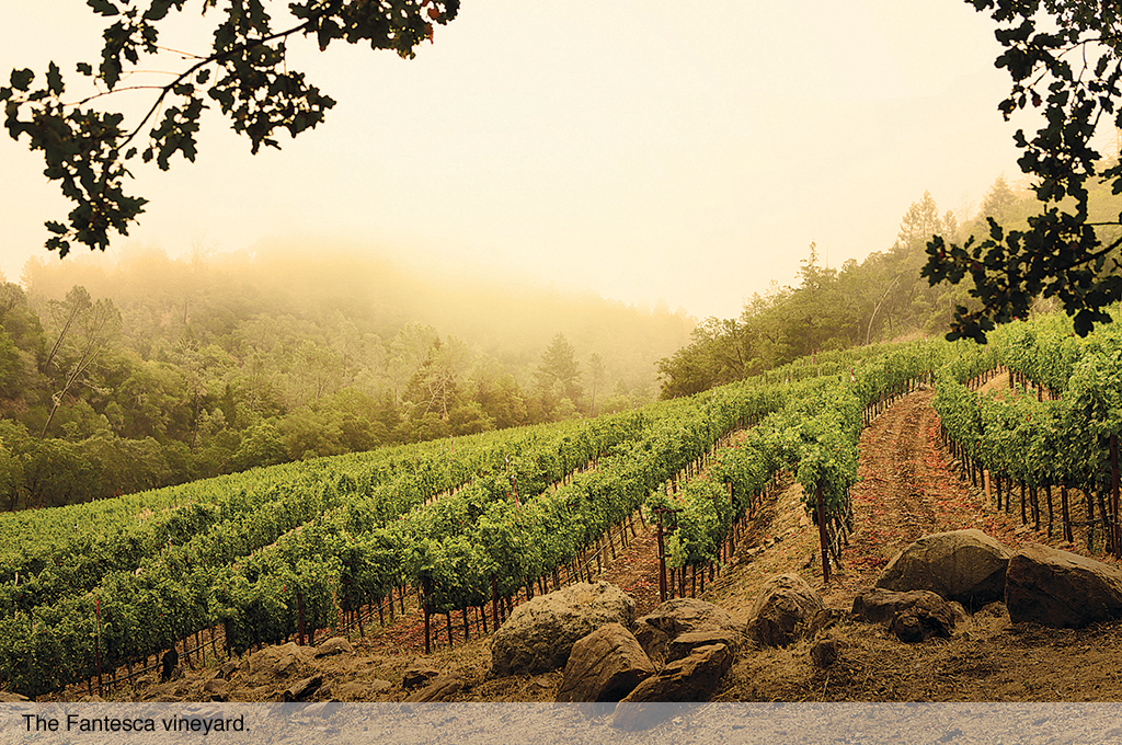 The Fantesca vineyard.